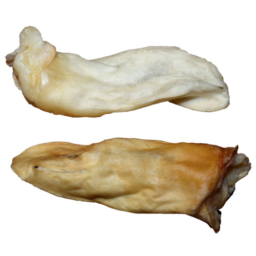 Kuzu Kulağı